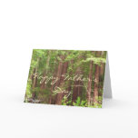 Happy Father's Day Redwood Trees Card