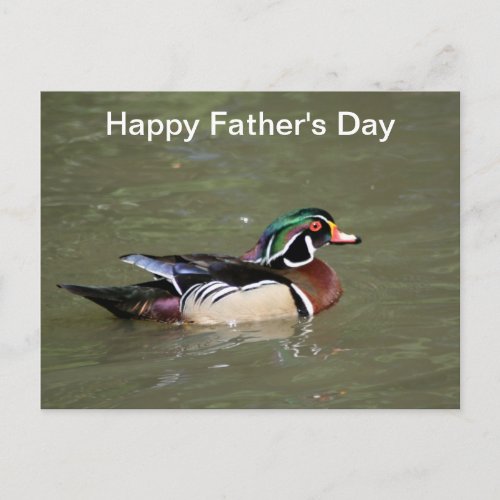 Happy Fathers Day Swimming Duck Postcard