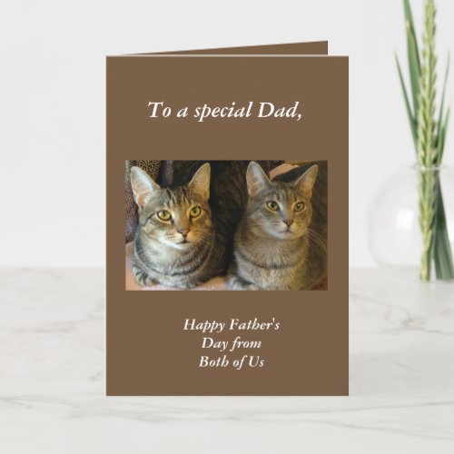 Happy Fathers Day Tabby Cats Greeting Card