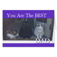 Happy Father's Day the From Cats Card