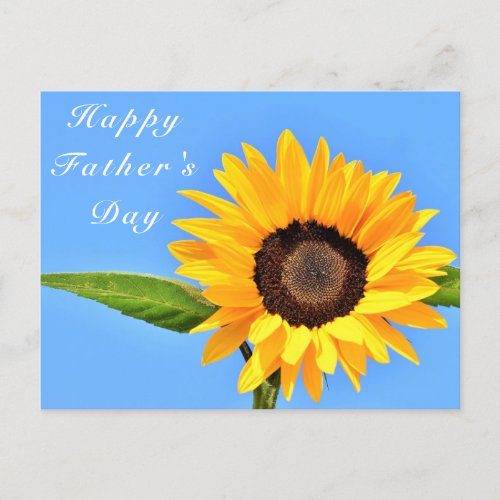 Happy Fathers Day Yellow Sunflower on Blue Sky Postcard