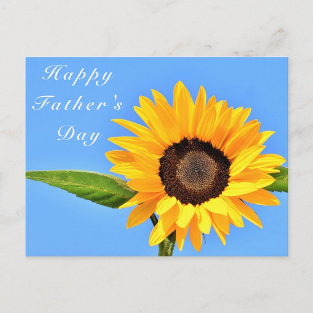 Happy Father's Day Yellow Sunflower on Blue Sky Postcard (Front)