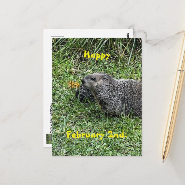 Happy February 2nd Custom Groundhog Postcards (Front/Back In Situ)