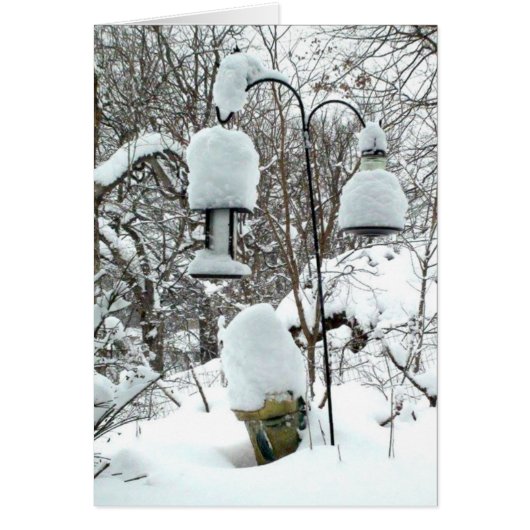 Happy First Day of Spring Wisconsin Humor Card (Front)