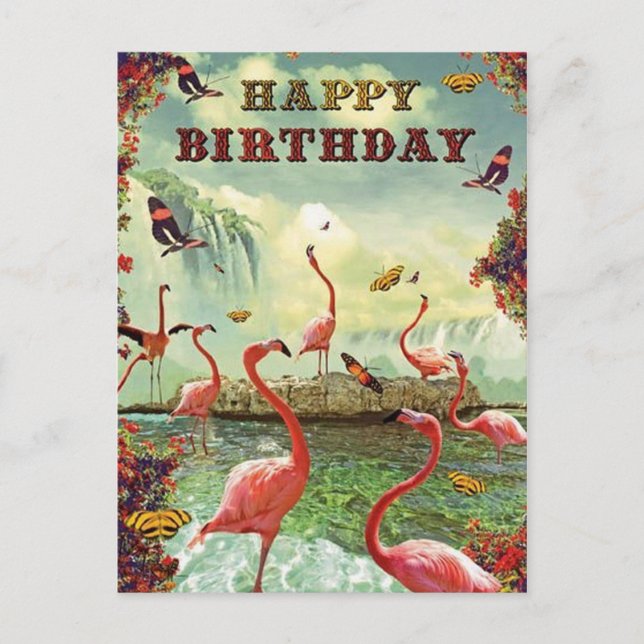 Happy Flemish Pink Birthday Postcard (Front)