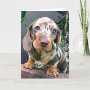 ***HAPPY FOR YOU***/**WILL MISS YOU TOO*** CARD