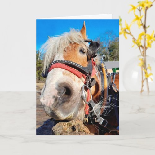 Happy Friendly Horse Birthday Card