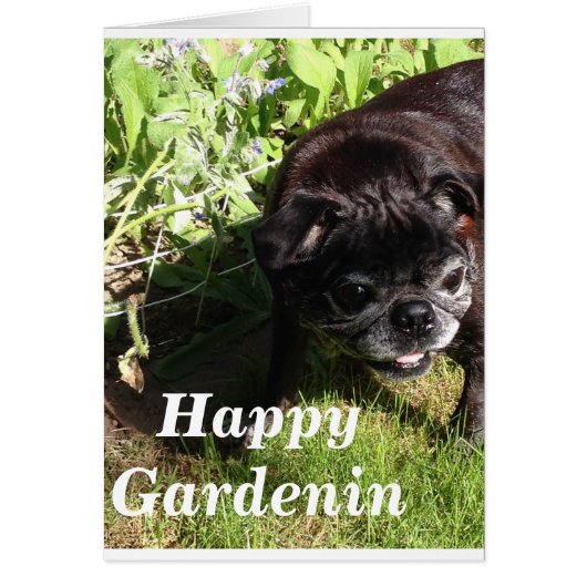 Happy Gardenin Cards (Front)