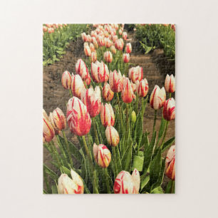 Happy Generation Tulips Jigsaw Puzzle
