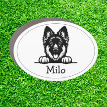 Happy German Shepard Puppy