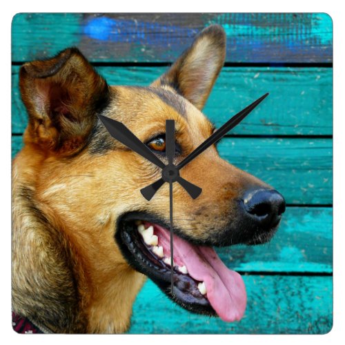 Happy German Shepherd Dog Rustic Teal Square Wall Clock
