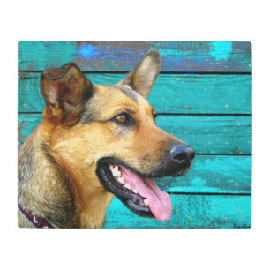 Happy German Shepherd Dog Teal Metal Print