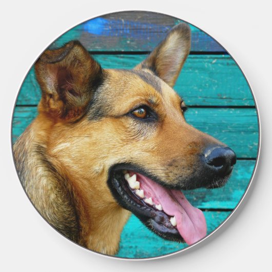Happy German Shepherd dog Wireless Charger (Front)
