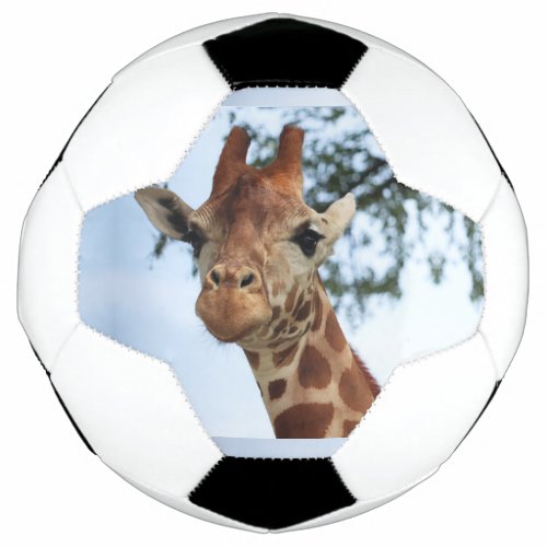 Happy Giraffe Close Up Wildlife Safari Soccer Ball