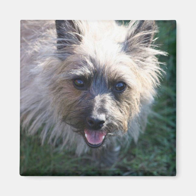 Happy Girl Magnet (Front)