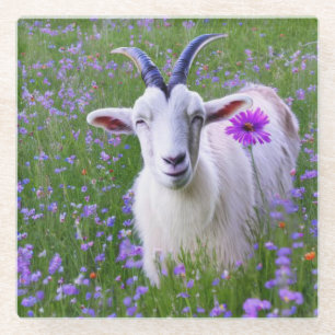 Happy Goat Glass Coaster