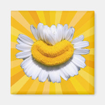 Happy Golden Chamomile Smile Sunshine Aura Magnet