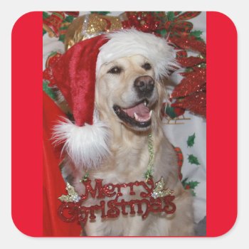 Happy Golden Retriever At Christmas Square Sticker by CullyBearDesigns at Zazzle