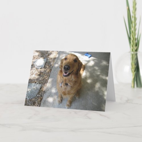 Happy Golden Retriever Card