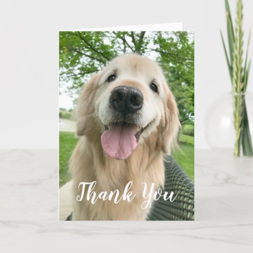 Happy Golden Retriever Dog Thank You Card