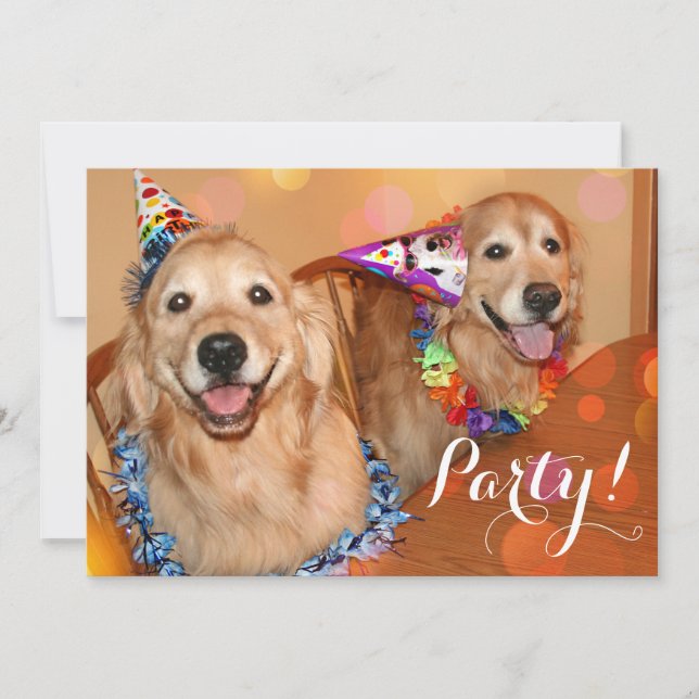 Happy Golden Retriever Dogs Birthday Party Invitation (Front)