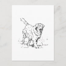 Happy Golden Retriever, Personalized