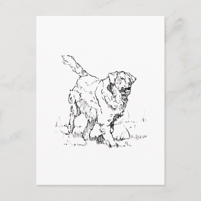 Happy Golden Retriever, Personalized Postcard (Front)