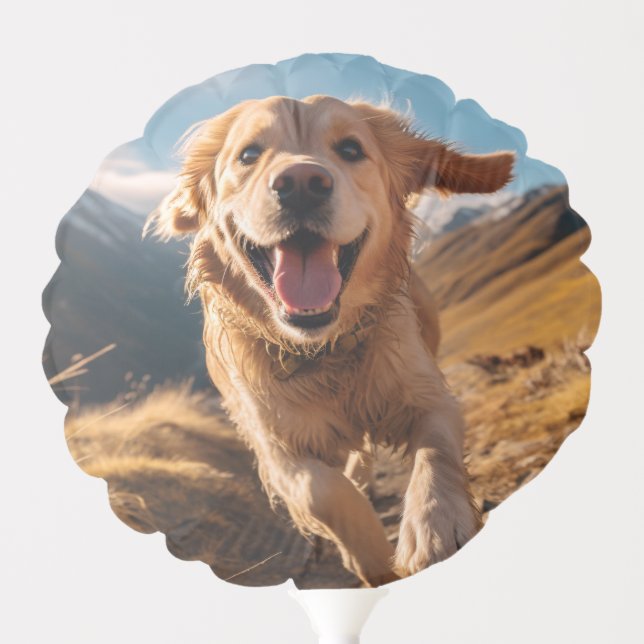Happy Golden Retriever Running  Balloon (Front)