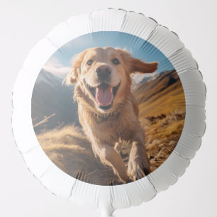 Happy Golden Retriever Running  Balloon