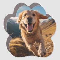 Happy Golden Retriever Running