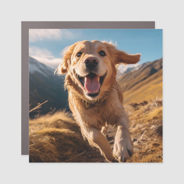 Happy Golden Retriever Running  Car Magnet (Front)