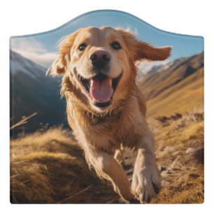 Happy Golden Retriever Running Door Sign