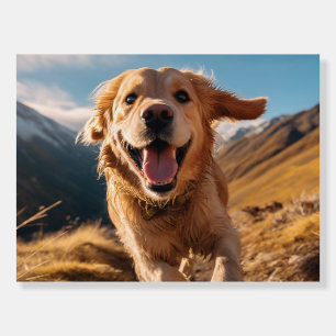 Happy Golden Retriever Running  Foam Board
