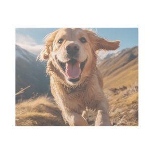 Happy Golden Retriever Running  Gallery Wrap