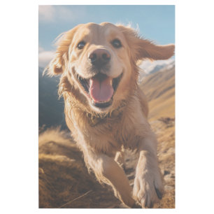 Happy Golden Retriever Running  Gallery Wrap