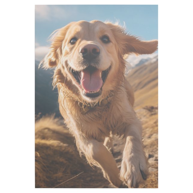 Happy Golden Retriever Running  Gallery Wrap (Front)