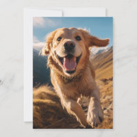 Happy Golden Retriever Running