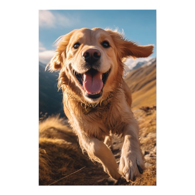 Happy Golden Retriever Running  Photo Print (Front)