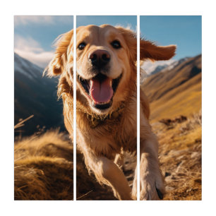 Happy Golden Retriever Running Triptych