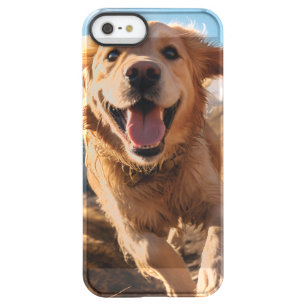 Happy Golden Retriever Running  Permafrost iPhone SE/5/5s Case