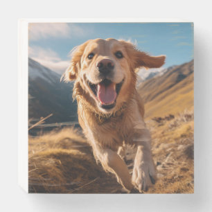Happy Golden Retriever Running Wooden Box Sign
