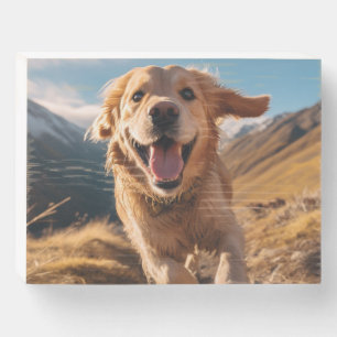 Happy Golden Retriever Running Wooden Box Sign