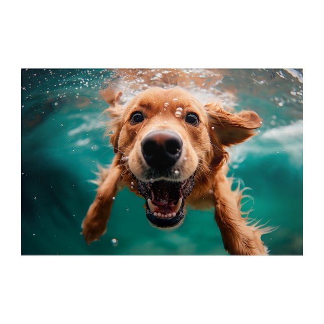 Happy Golden Retriever Swimming Underwater Acrylic Print (Front)