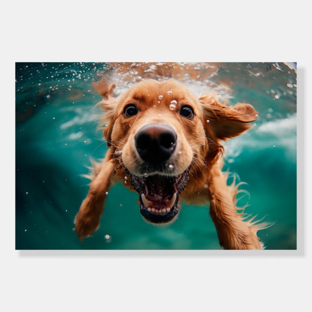 Happy Golden Retriever Swimming Underwater Foam Board (Front)