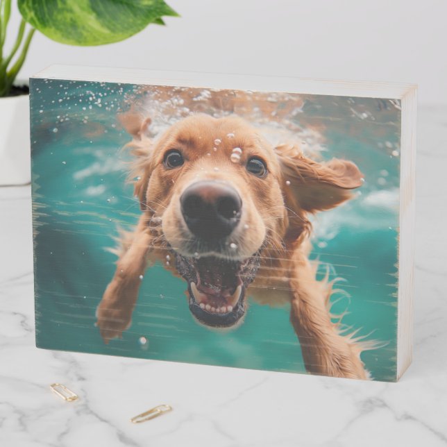 Happy Golden Retriever Swimming Underwater Wooden Box Sign (In Situ Horizontal)