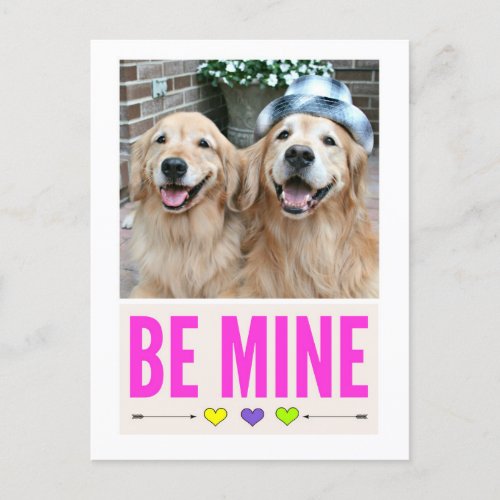 Happy Golden Retrievers Be Mine Valentines Day Holiday Postcard