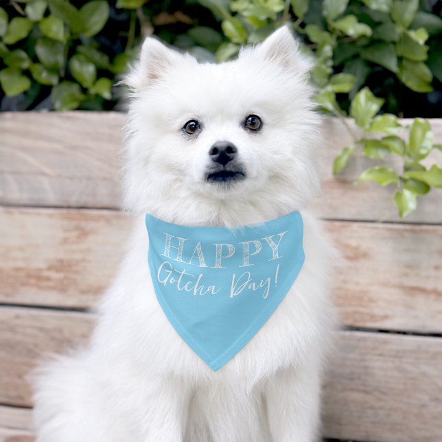 Happy Gotcha Day Cute Light Blue Adoption Pet Bandana Collar (Dog)