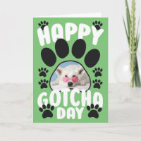 Happy Gotcha Day Pet Dog