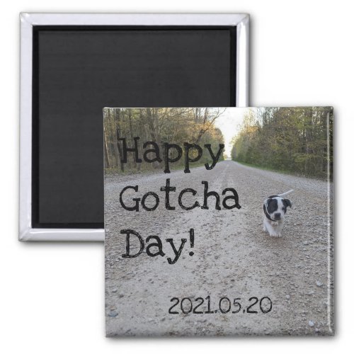 Happy Gotcha Day Pet Magnet