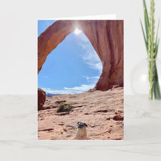 Happy Graduation Dog Card | Lily the Pug